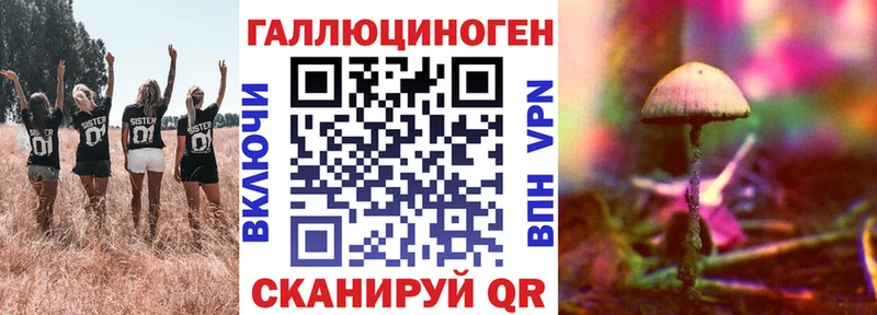 Псилоцибиновые грибы MAGIC MUSHROOMS  Купить где  Котлас 